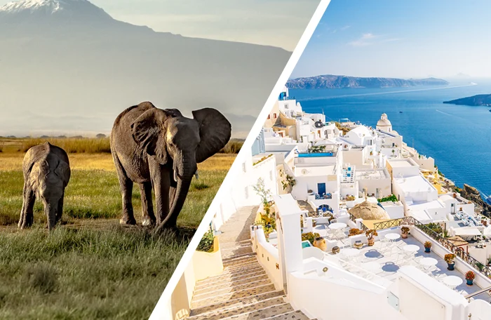 A split screen with one half showing an elephant in a grassland and the other showing a tropical resort.
